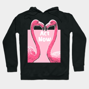 Act Now Flamingo Illustration Design Hoodie